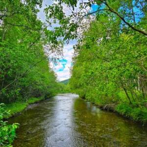 images_662f60efaf566a490716a728_5948c1aa-2070-4c92-8f2c-f5f5d14c3534_1000010407_640x480 images_662f60efaf566a490716a728_5948c1aa-2070-4c92-8f2c-f5f5d14c3534_1000010407_640x480