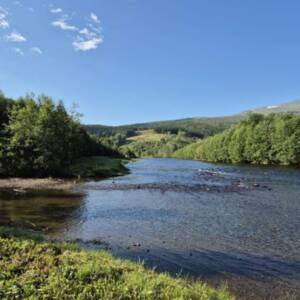 03db929a-a339-4bd4-b0b6-108cf0a71610 03db929a-a339-4bd4-b0b6-108cf0a71610