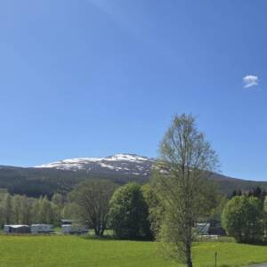 82753538-ac4e-456e-8b43-0e8b1885278d 82753538-ac4e-456e-8b43-0e8b1885278d